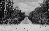 rijs weg naar kippenburg 1908